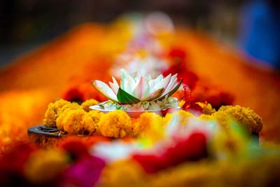 bodh-gaya-lotus-flower bodh-gaya-lotus-flower