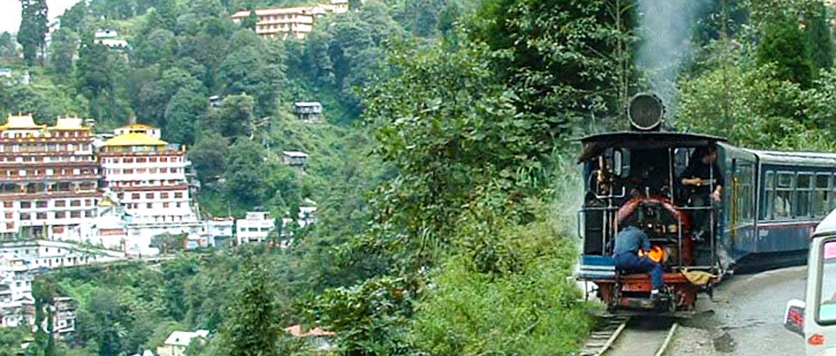darjeeling-toy-train