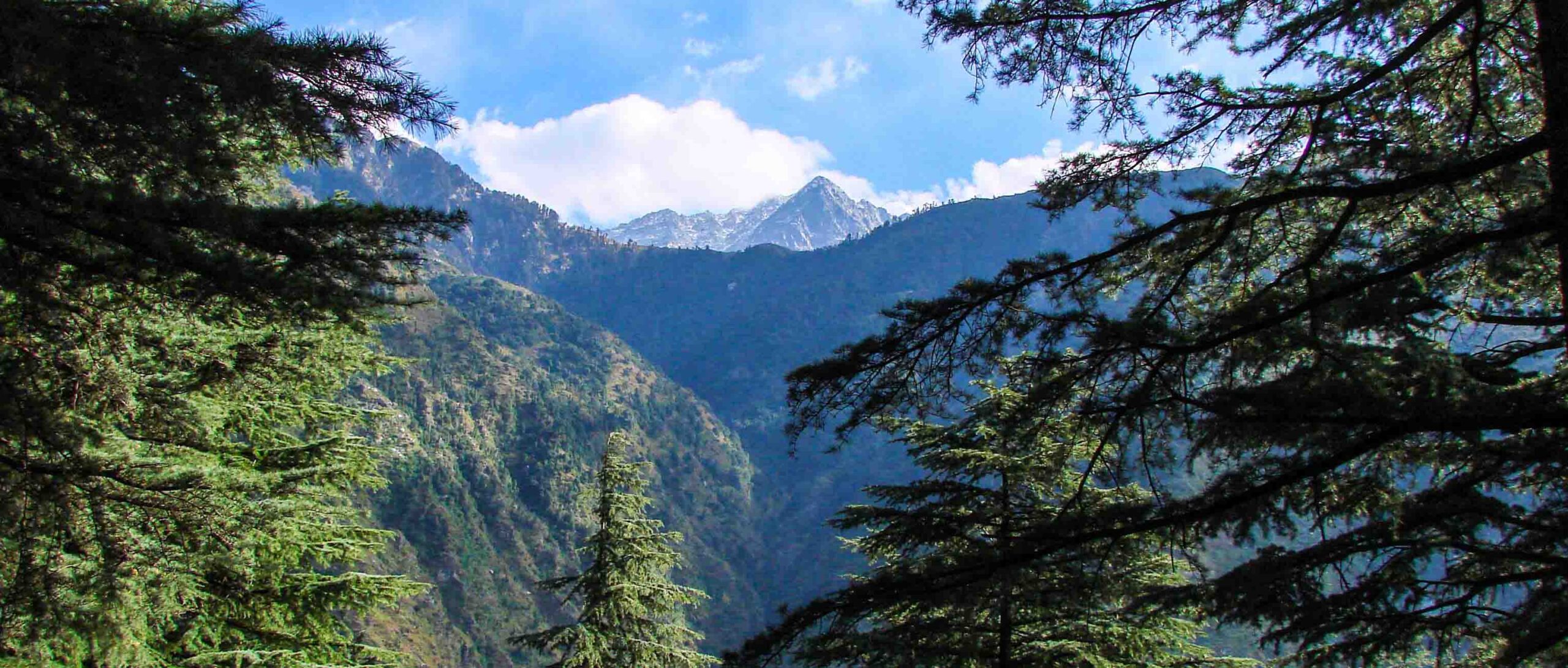 dharamshala2