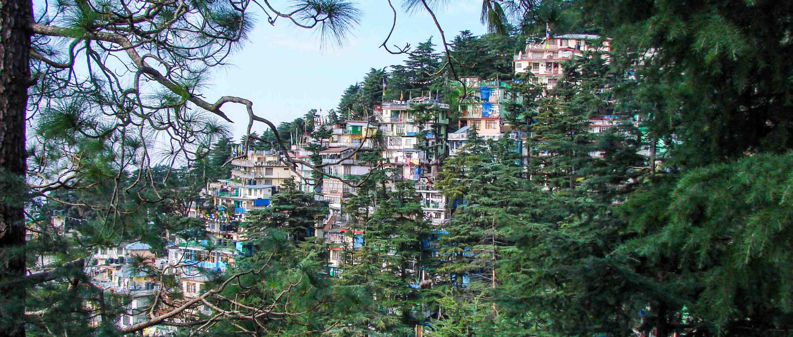 dharamshala4