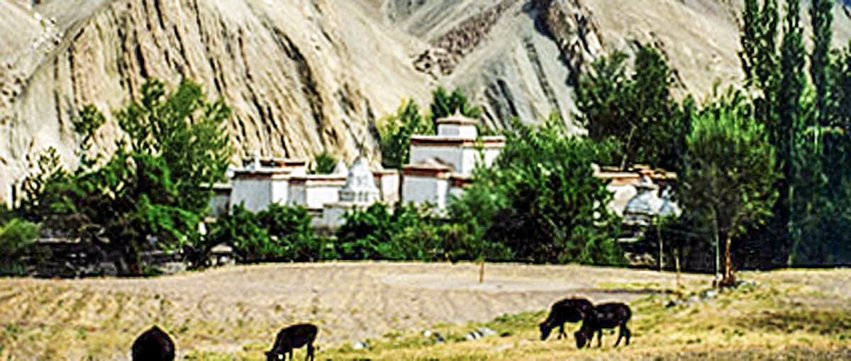 ladakh-alchi