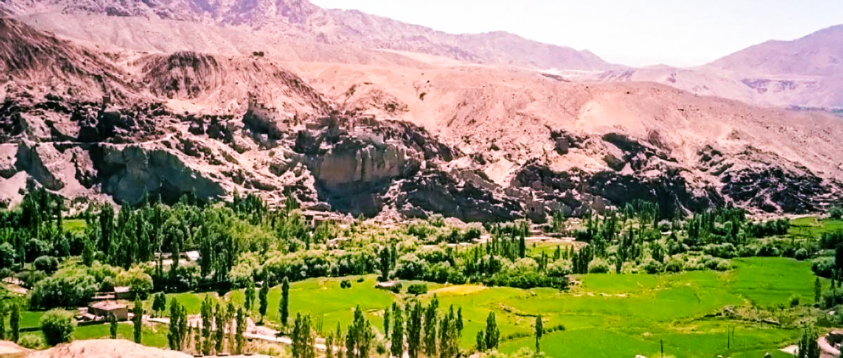 ladakh-basgo