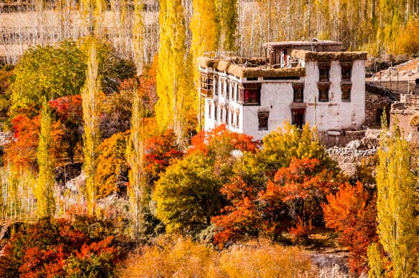 ladakh-house-autum