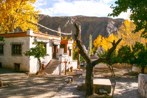 ladakh-house-front