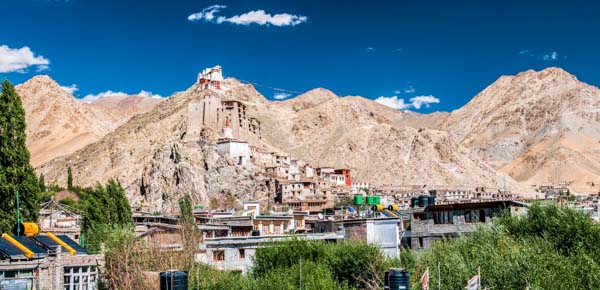 ladakh-leh-palace-side