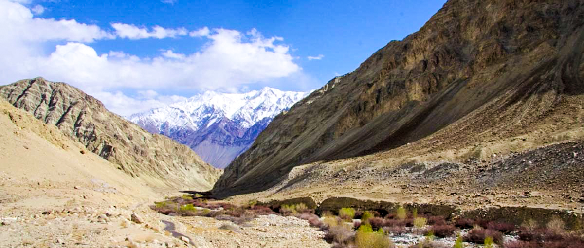 ladakh-sham-trek2