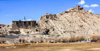 ladakh-shey-palace-3