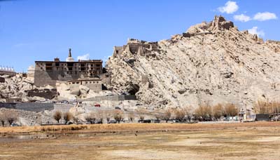 ladakh-shey-palace-7