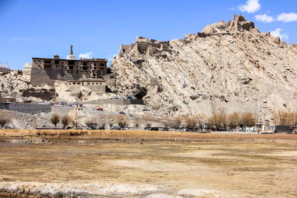 ladakh-shey-palace-fort