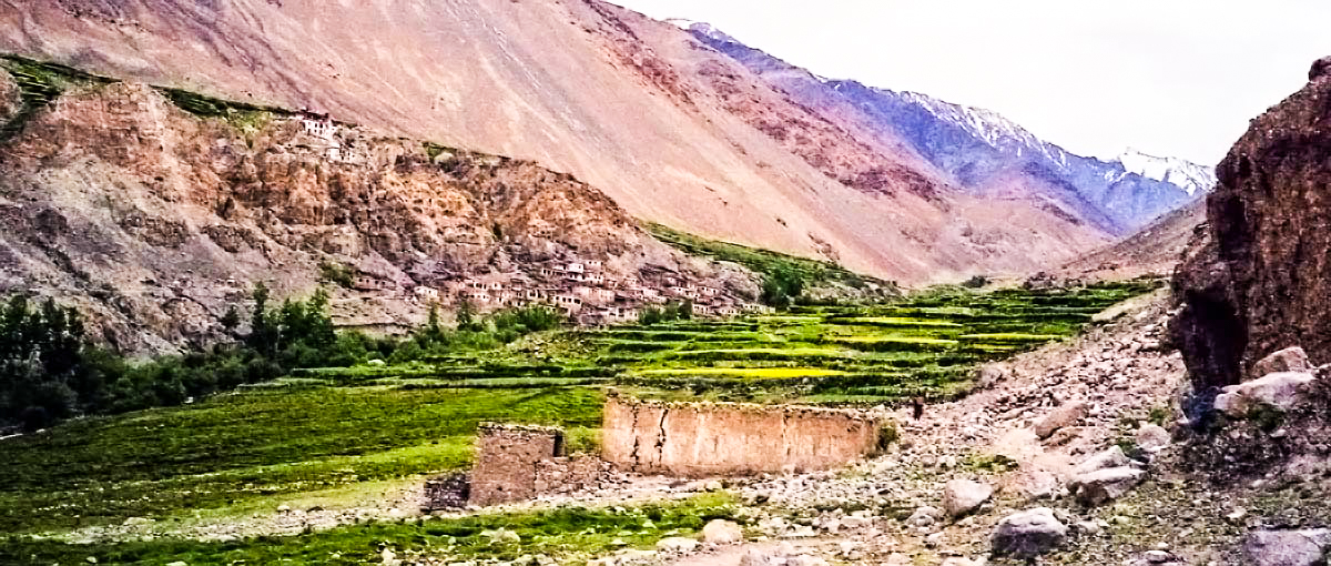 ladakh-tangyar-village