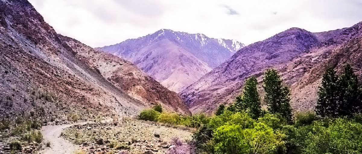 ladakh-trail-to-tangyar