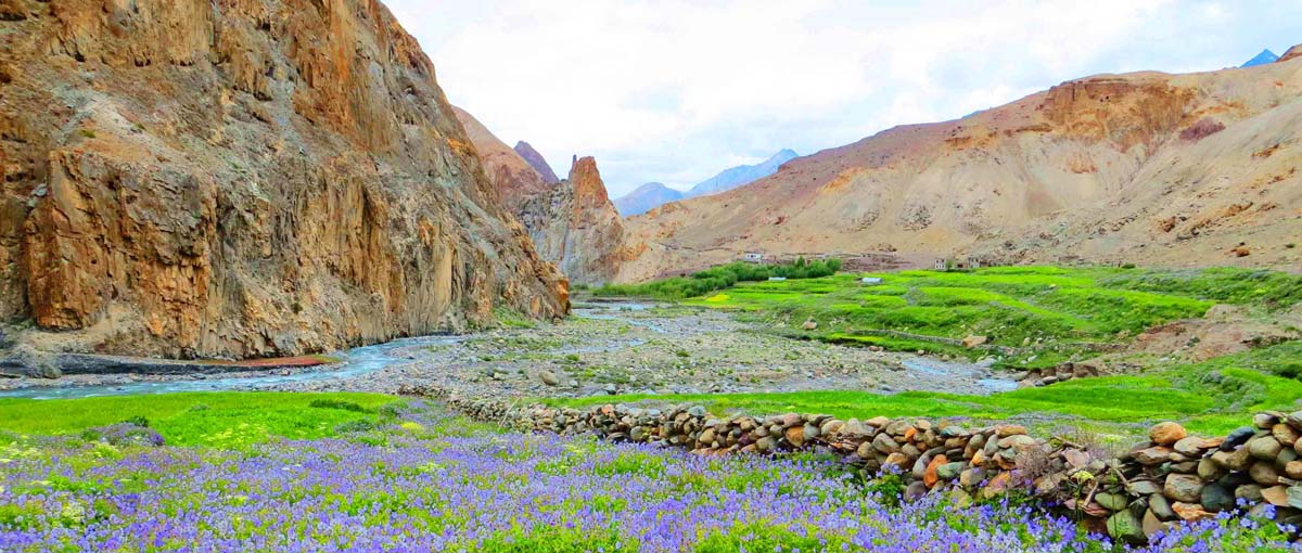 ladakh-upper-hankar-field