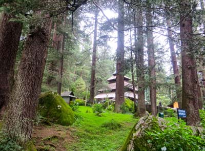 manali-hadimba-temple-4