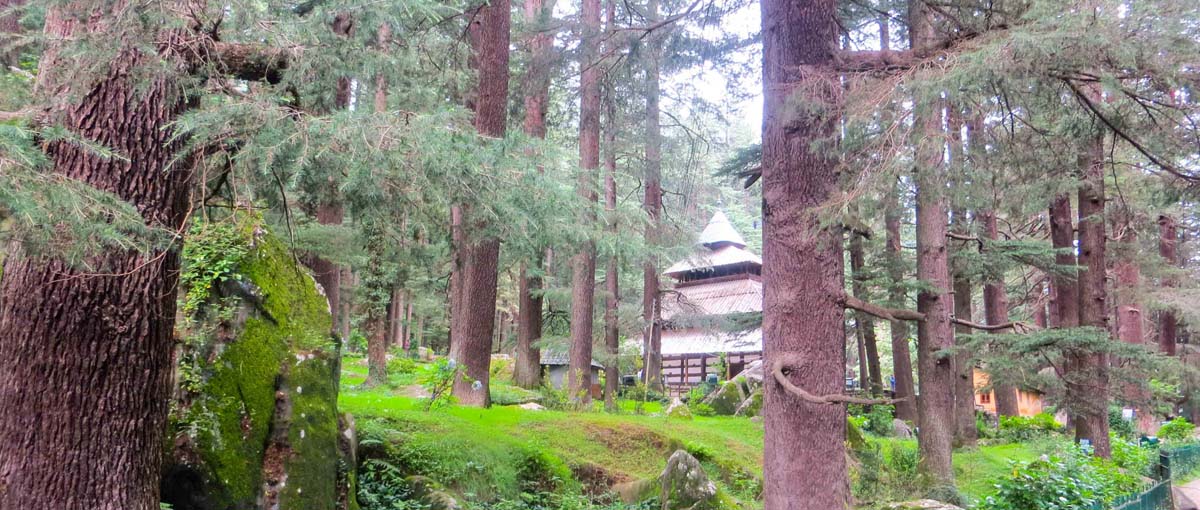 manali-hadimba-temple
