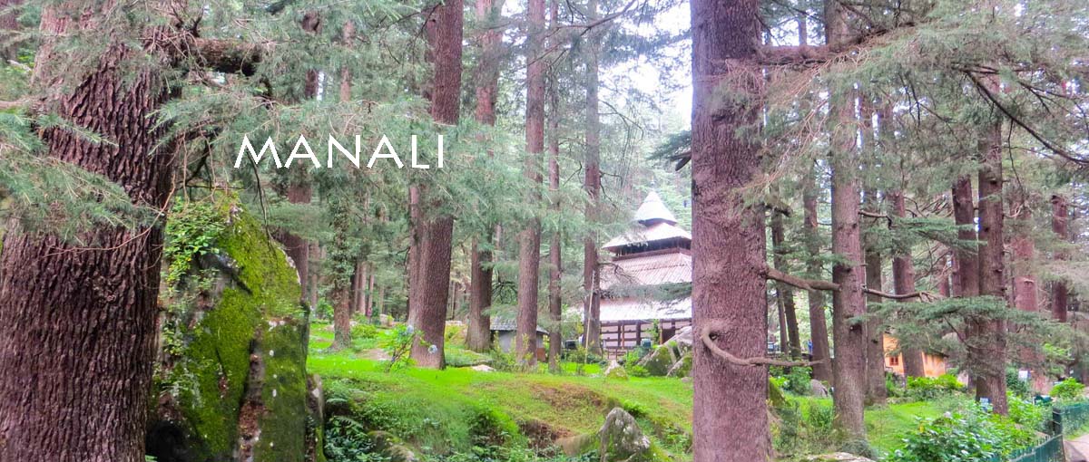 manali-hadimba-temple2