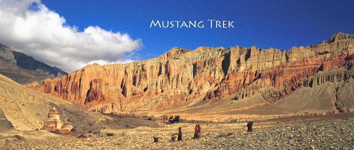 mustang-trek