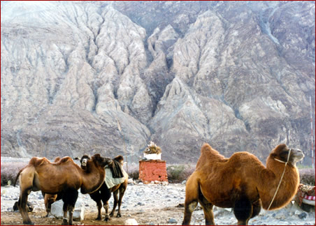 nubra