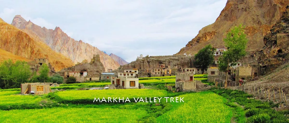 xladakh-markha-village.jpg.pagespeed.ic.d7PaQ-ryJk (1)