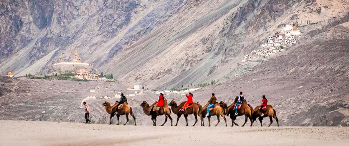 xnubra-camel-safari.jpg.pagespeed.ic.Xw2HxfTG84